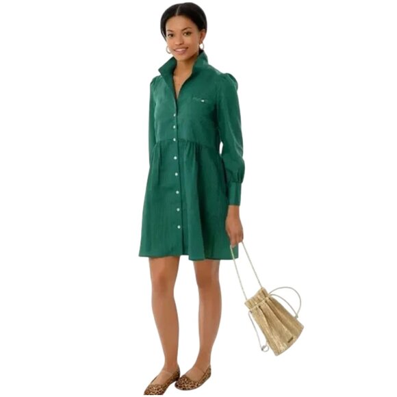 Tuckernuck Florence Shirt Dress size L large green stripe blue mini long sleeve - Picture 2 of 12